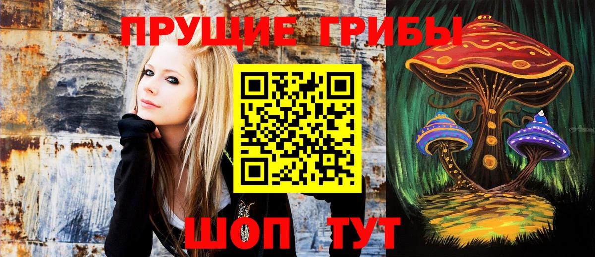 Канаш  Галлюциногенные грибы Cubensis  где купить наркотик  Галлюциногенные грибы мухоморы  Вход с VPN 